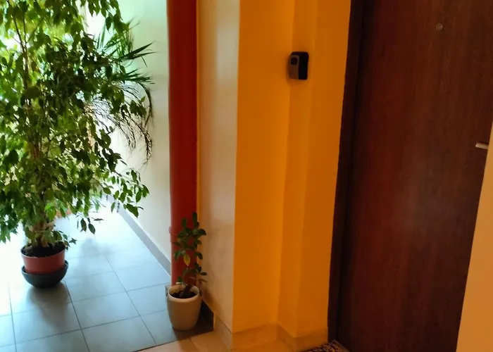 New Fifth Appartement *